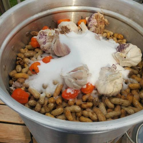 boiled-peanuts-with-garlic-beach-cow-nut-co-st-simons-island-ga